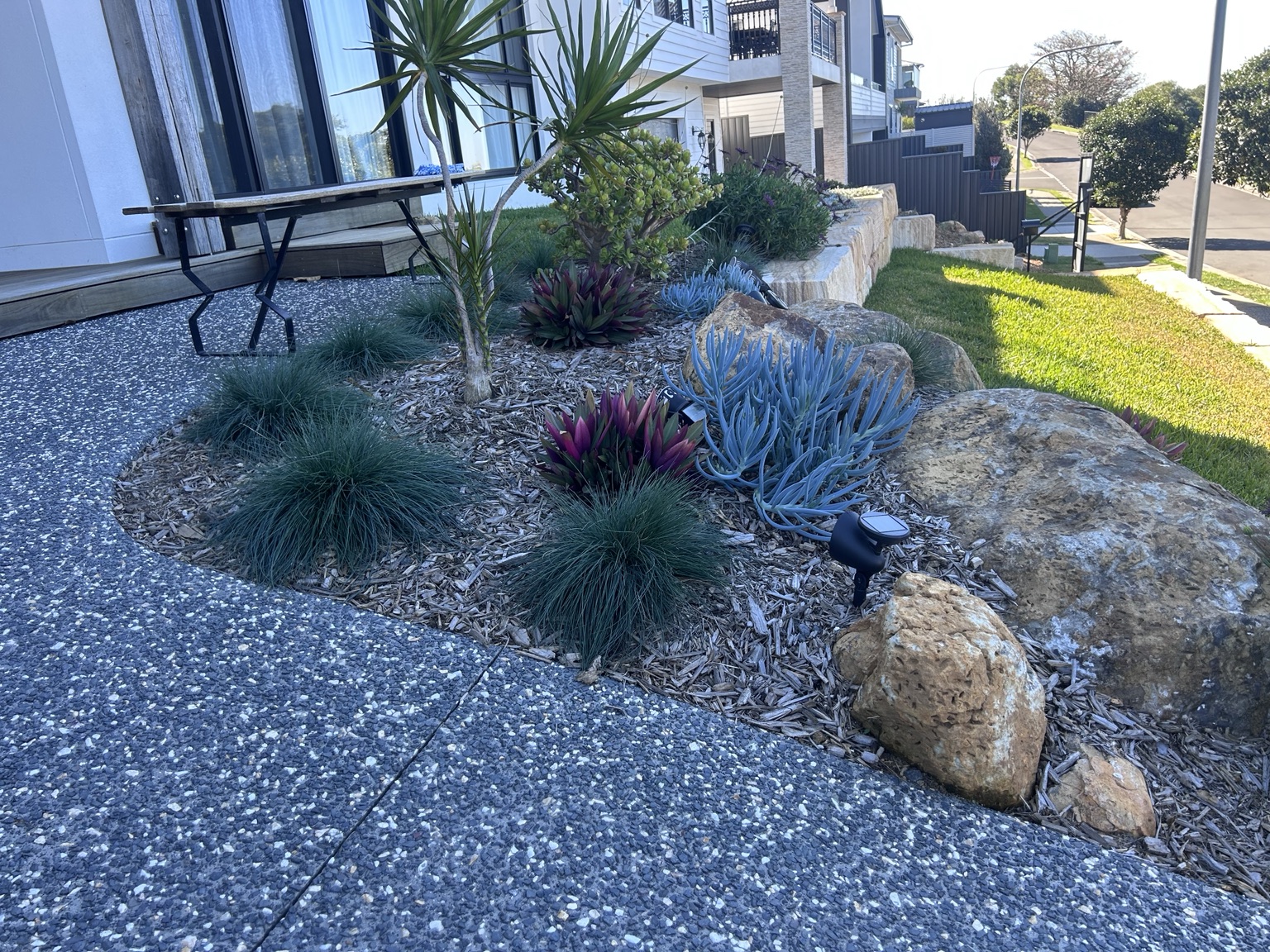 Professionally maintained garden in the Macarthur area